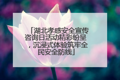 湖北孝感安全宣传咨询日活动精彩纷呈，沉浸式体验筑牢全民安全防线