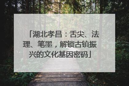 湖北孝昌：舌尖、法理、笔墨，解锁古镇振兴的文化基因密码