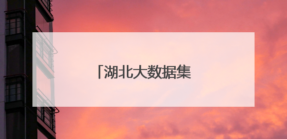 湖北大数据集团正式成立
