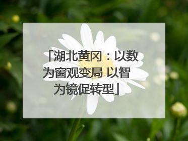 湖北黄冈：以数为窗观变局 以智为镜促转型