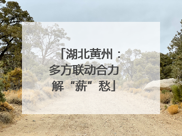 湖北黄州：多方联动合力解“薪”愁
