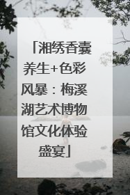 湘绣香囊养生+色彩风暴：梅溪湖艺术博物馆文化体验盛宴