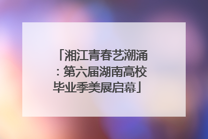 湘江青春艺潮涌：第六届湖南高校毕业季美展启幕