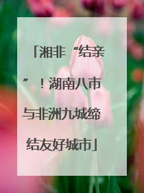 湘非“结亲”！湖南八市与非洲九城缔结友好城市