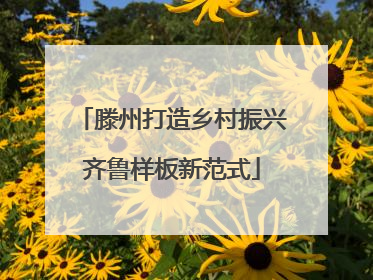 滕州打造乡村振兴齐鲁样板新范式