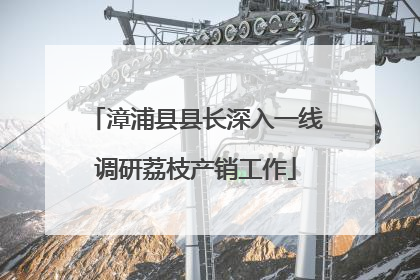 漳浦县县长深入一线调研荔枝产销工作