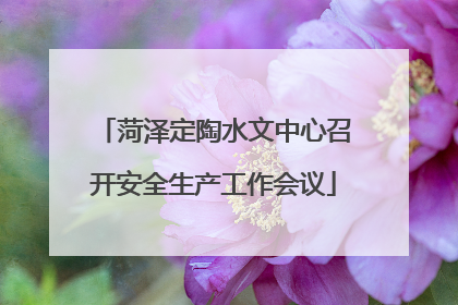 菏泽定陶水文中心召开安全生产工作会议