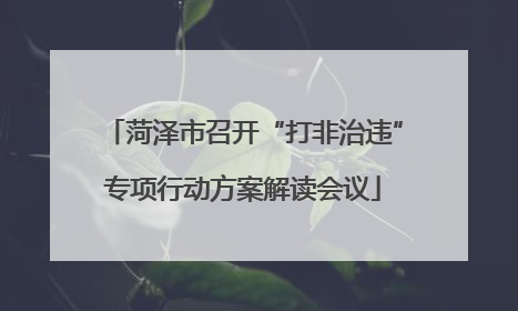 菏泽市召开“打非治违”专项行动方案解读会议