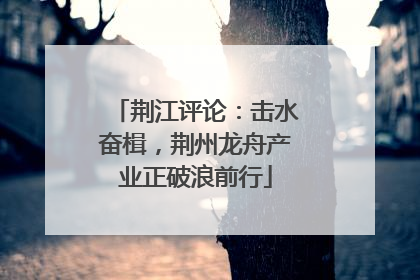 荆江评论：击水奋楫，荆州龙舟产业正破浪前行