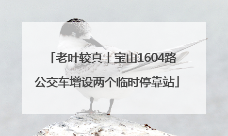 老叶较真丨宝山1604路公交车增设两个临时停靠站