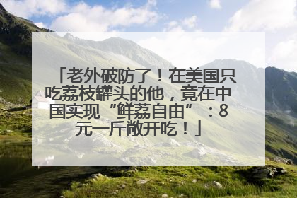 老外破防了！在美国只吃荔枝罐头的他，竟在中国实现“鲜荔自由”：8元一斤敞开吃！
