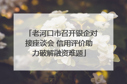 老河口市召开银企对接座谈会 信用评价助力破解融资难题