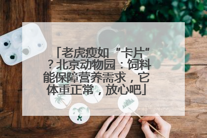 老虎瘦如“卡片”？北京动物园：饲料能保障营养需求，它体重正常，放心吧