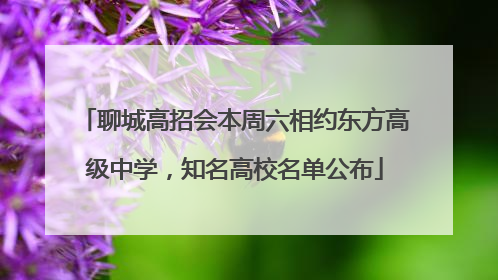 聊城高招会本周六相约东方高级中学，知名高校名单公布