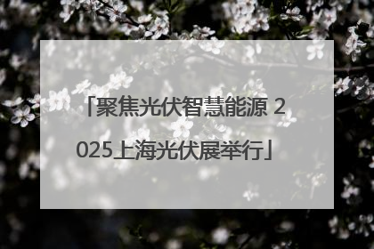 聚焦光伏智慧能源 2025上海光伏展举行
