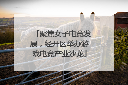 聚焦女子电竞发展，经开区举办游戏电竞产业沙龙