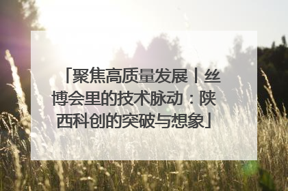 聚焦高质量发展丨丝博会里的技术脉动：陕西科创的突破与想象