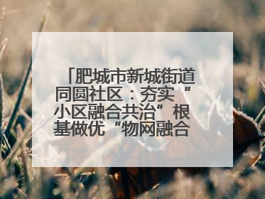 肥城市新城街道同圆社区：夯实“小区融合共治”根基做优“物网融合一家亲”品牌