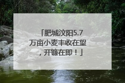 肥城汶阳5.7万亩小麦丰收在望，开镰在即！