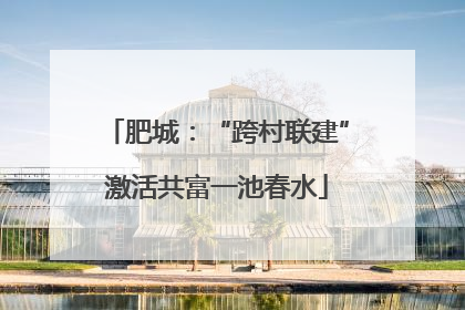 肥城：“跨村联建”激活共富一池春水