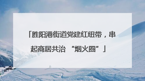 胜阳港街道党建红纽带，串起商居共治 “烟火圈”