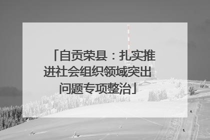 自贡荣县：扎实推进社会组织领域突出问题专项整治