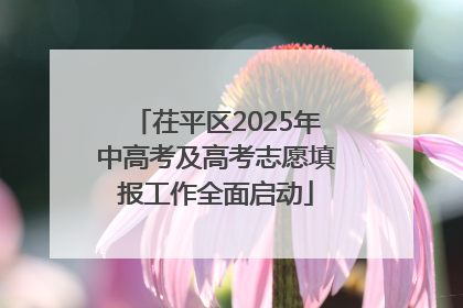 茌平区2025年中高考及高考志愿填报工作全面启动