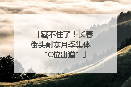 藏不住了！长春街头耐寒月季集体“C位出道”