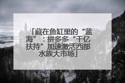 藏在鱼缸里的“蓝海”：拼多多“千亿扶持”加速激活西部水族大市场
