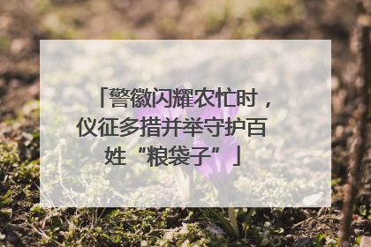 警徽闪耀农忙时，仪征多措并举守护百姓“粮袋子”