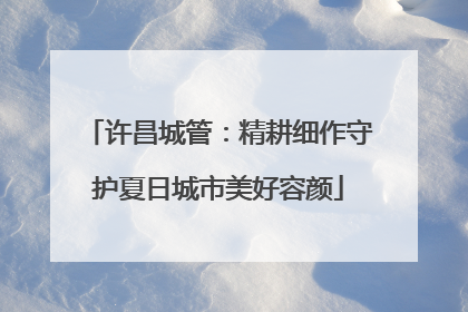 许昌城管：精耕细作守护夏日城市美好容颜