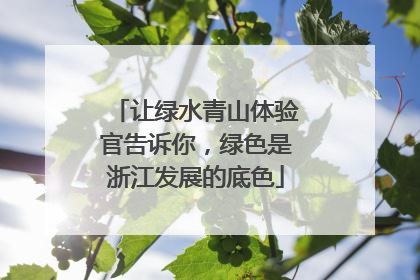让绿水青山体验官告诉你，绿色是浙江发展的底色
