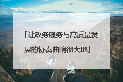 让政务服务与高质量发展的协奏曲响彻大地