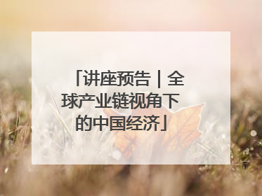 讲座预告｜全球产业链视角下的中国经济