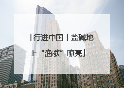 行进中国丨盐碱地上“渔歌”嘹亮