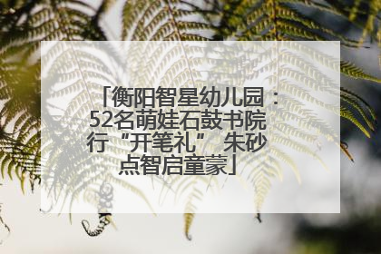 衡阳智星幼儿园：52名萌娃石鼓书院行“开笔礼” 朱砂点智启童蒙