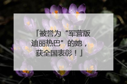 被誉为“军营版迪丽热巴”的她，获全国表彰！