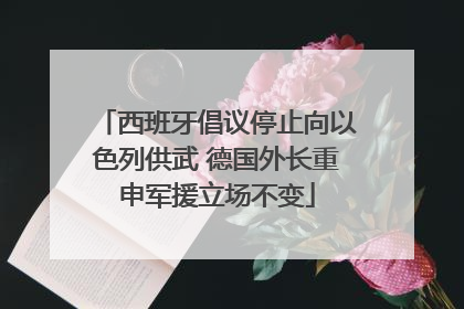 西班牙倡议停止向以色列供武 德国外长重申军援立场不变