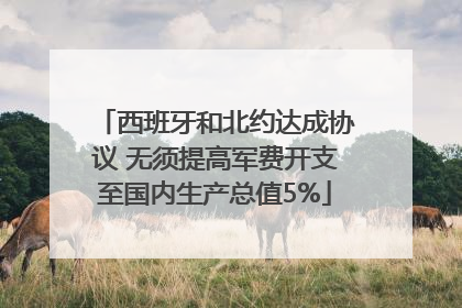 西班牙和北约达成协议 无须提高军费开支至国内生产总值5%