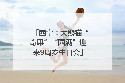 西宁：大熊猫“奇果”“园满”迎来9周岁生日会