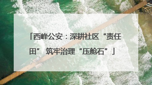 西峰公安：深耕社区“责任田” 筑牢治理“压舱石”