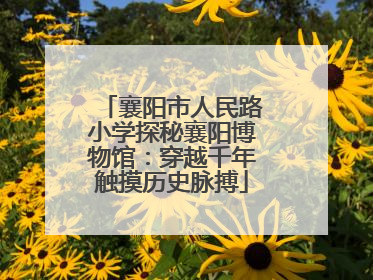 襄阳市人民路小学探秘襄阳博物馆：穿越千年触摸历史脉搏
