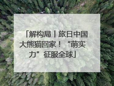 解构局丨旅日中国大熊猫回家！“萌实力”征服全球