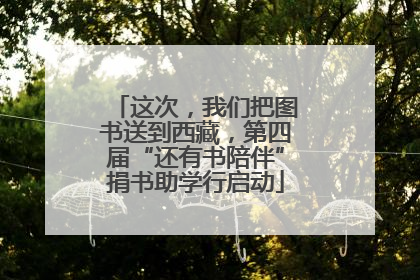 这次，我们把图书送到西藏，第四届“还有书陪伴”捐书助学行启动