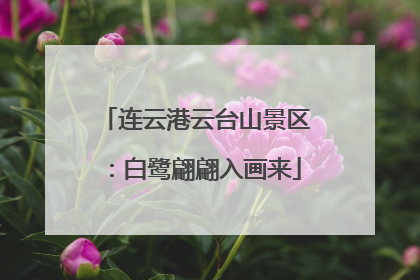 连云港云台山景区：白鹭翩翩入画来