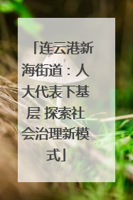 连云港新海街道：人大代表下基层 探索社会治理新模式