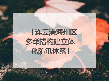 连云港海州区多举措构建立体化防汛体系