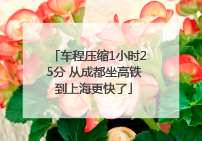 车程压缩1小时25分 从成都坐高铁到上海更快了