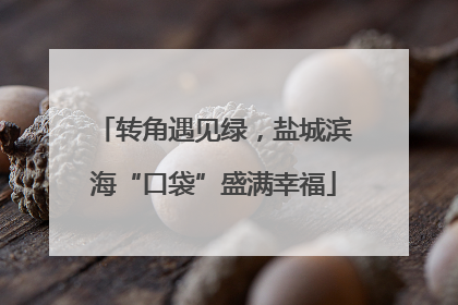 转角遇见绿，盐城滨海“口袋”盛满幸福