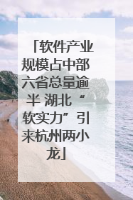 软件产业规模占中部六省总量逾半 湖北“软实力”引来杭州两小龙